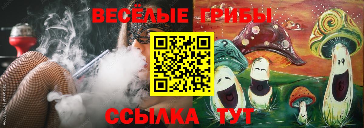 Псилоцибиновые грибы GOLDEN TEACHER Кулебаки